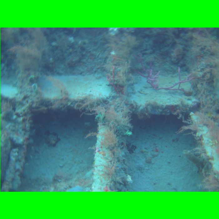 Dive WP Wrecks 25-Oct-09_390.JPG